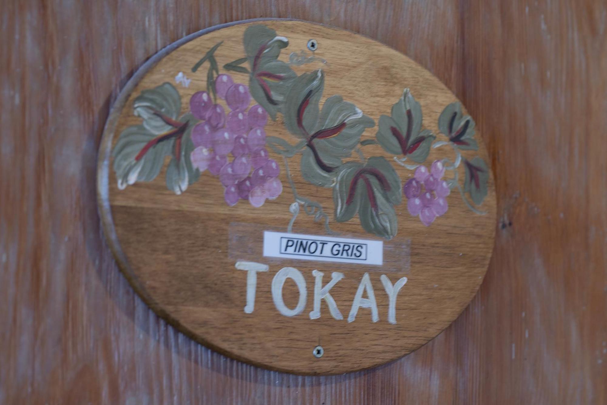 Pinot Gris - Charmant Studio Au Coeur Du Vignoble - Parking Gratuit Riquewihr Zewnętrze zdjęcie