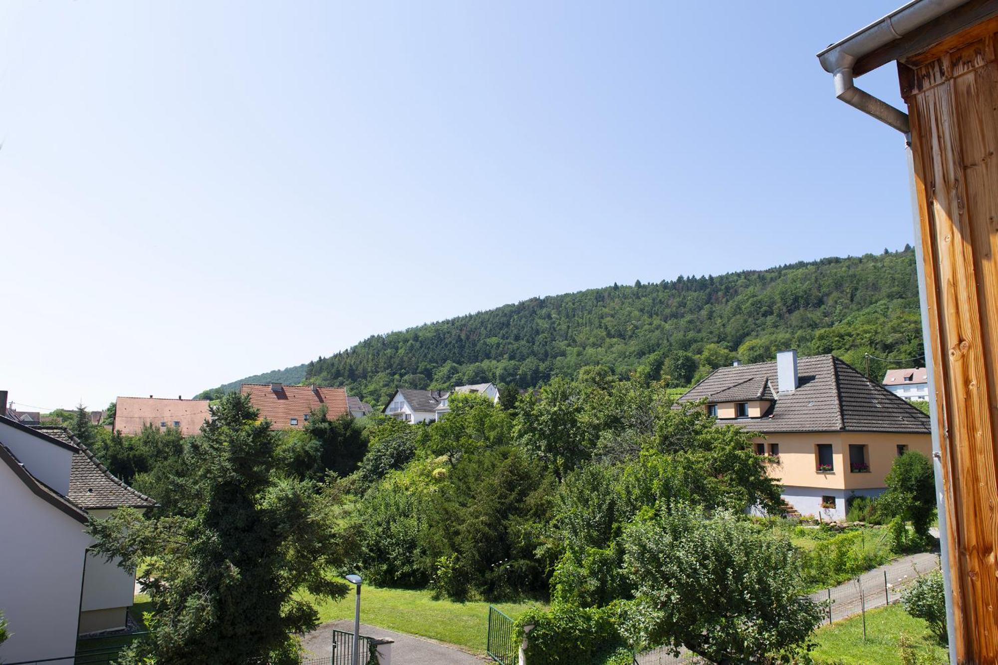 Pinot Gris - Charmant Studio Au Coeur Du Vignoble - Parking Gratuit Riquewihr Zewnętrze zdjęcie