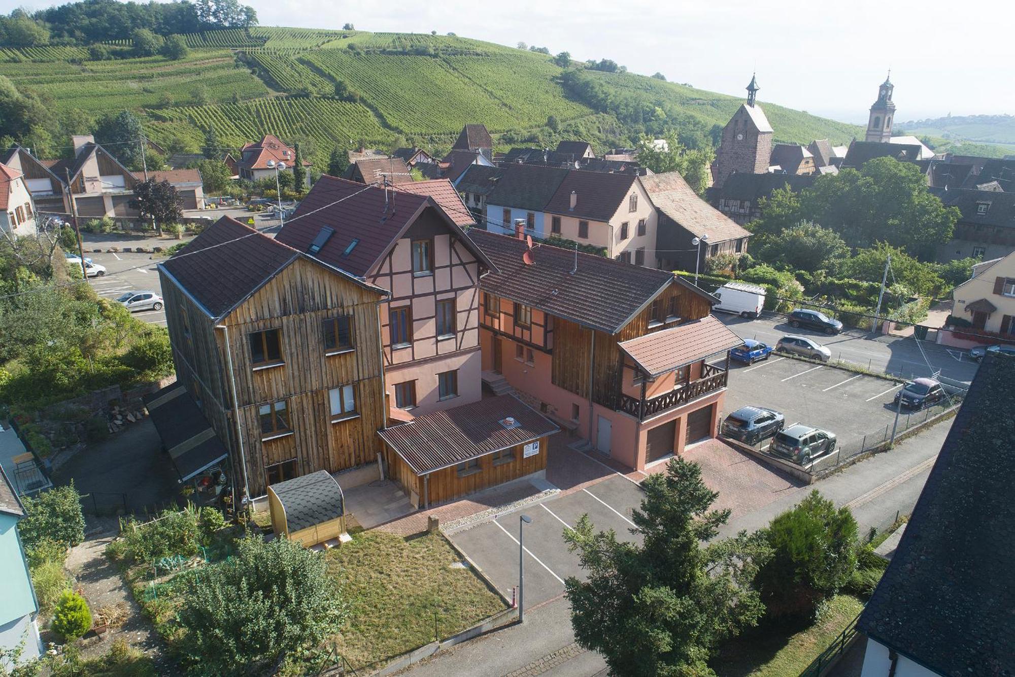 Pinot Gris - Charmant Studio Au Coeur Du Vignoble - Parking Gratuit Riquewihr Zewnętrze zdjęcie