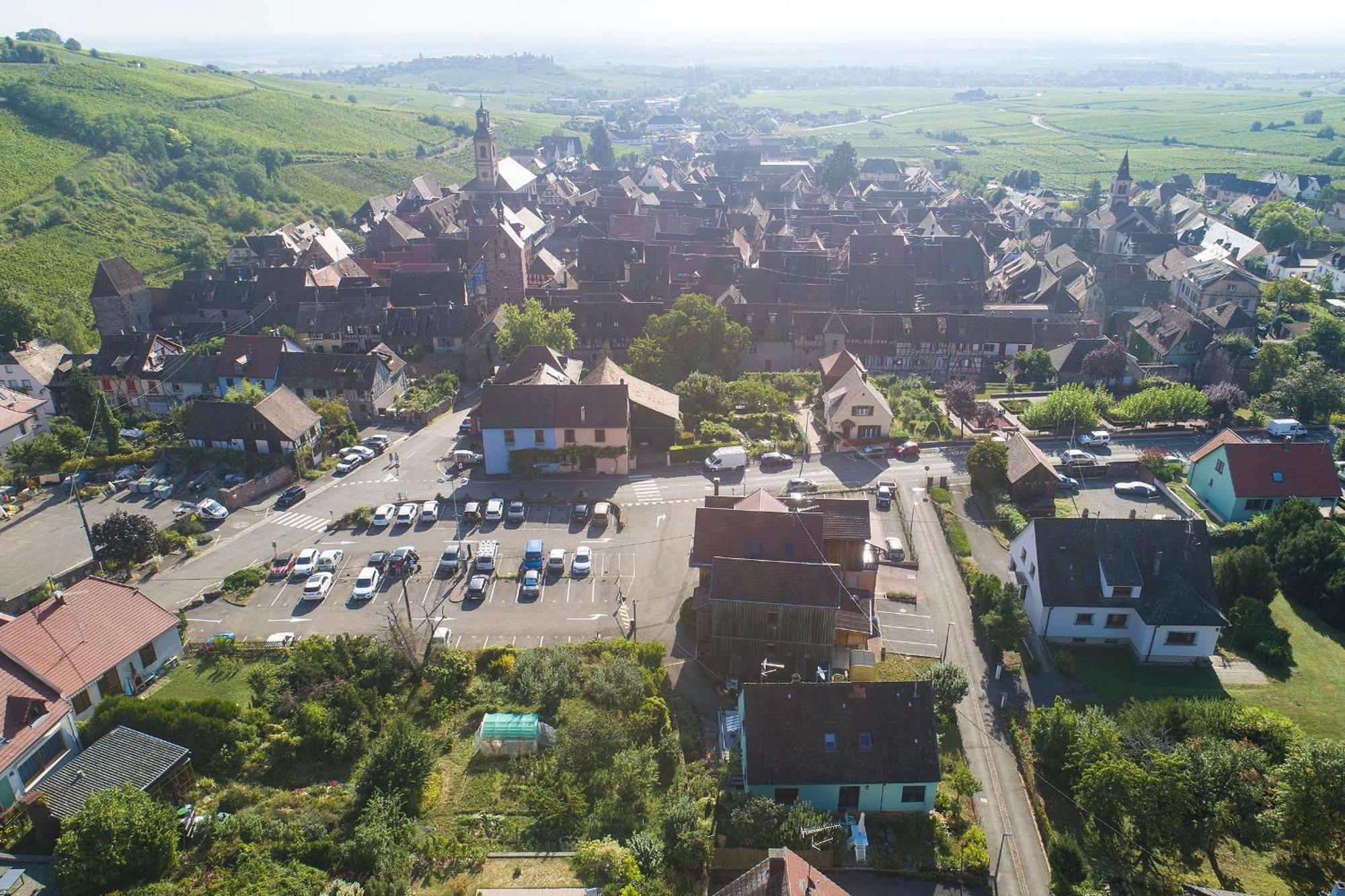 Pinot Gris - Charmant Studio Au Coeur Du Vignoble - Parking Gratuit Riquewihr Zewnętrze zdjęcie